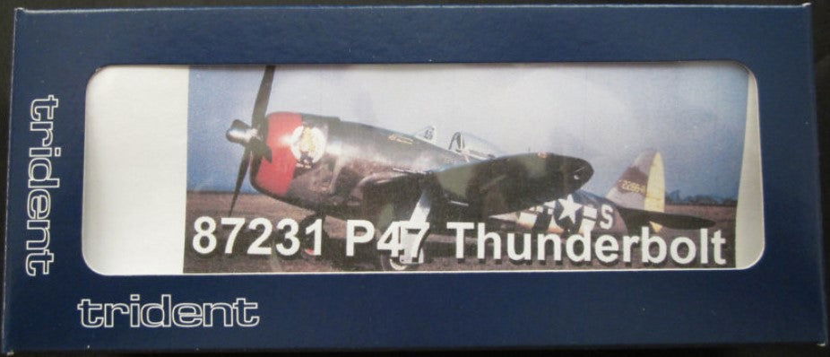 Trident Military HO 1/87 WWII US & Allies P-47D Thunderbolt Fighter-Bomber Kit - ModelsPower